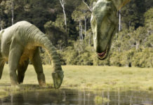 VIERNES DE CINE EN LÍNEA COMO PARTE DE CONTIGO EN LA DISTANCIA