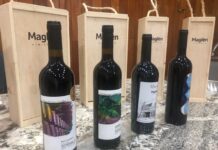 BC EN EL PUNTERO DE LOS MEJORES VINOS DEL MUNDO A TRAVÉS DE VINÍCOLA MAGLÉN