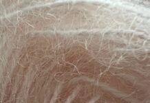 EXHIBIRÁN “TEXTIL CONTEMPORÁNEO EN BAJA CALIFORNIA” EN CEART TECATE