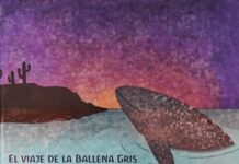«EL VIAJE DE LA BALLENA GRIS» CUENTO QUE TODO NIÑ@ DEBE DISFRUTAR