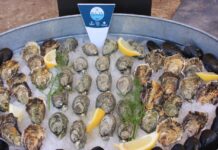 GENERAN CONCHAS Y VINO, PRESTIGIO PARA BAJA CALIFORNIA