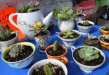 INVITAN AL “FESTIVAL DE VERANO” IMPULSANDO A LAS INDUSTRIAS CREATIVAS DE LA REGIÓN