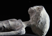 LAS MISTERIOSAS MOMIAS DE NAZCA, YA ESTÁN EN TIJUANA