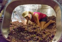 OBTIENE «CASTA DE VINOS» TRES MEDALLAS DE ORO EN EL «CHALLENGE INTERNATIONAL DU VIN 2023» EN BURDEOS, FRANCIA