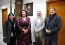 CREAN SUBSECRETARÍAS DE CULTURA COMUNITARIA Y DESARROLLO CULTURAL