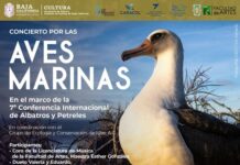 BRINDAN CONCIERTO EN FAVOR DEL CUIDADO DE LAS AVES