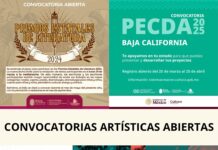 COMBO BECARIO PARA CREADORES ARTÍSTICOS, PROMOTORES Y GESTORES CULTURALES DE TODAS LAS DISCIPLINAS