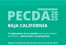 LA CONVOCATORIA «PROGRAMA DE ESTÍMULO A LA CREACIÓN Y DESARROLLO ARTÍSTICO 2025, YA ESTÁ ABIERTA