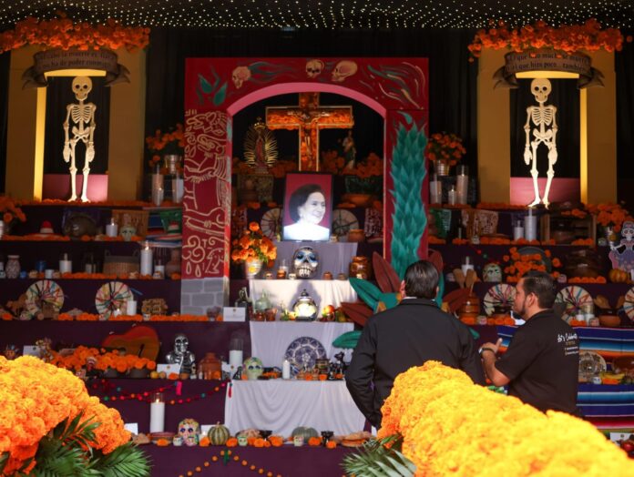 WhatsApp Image 2025-11-04 at 2.31.25 PM (1)