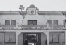 EL IMAC LLEGA A SU XXVIII ANIVERSARIO, ACÉFALO