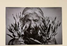 EXPOSICIONES SOBRE IDENTIDAD Y MEMORIA HABITAN LOS ESPACIOS MUSEÍSTICOS DEL CEART-ROSARITO