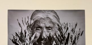 EXPOSICIONES SOBRE IDENTIDAD Y MEMORIA HABITAN LOS ESPACIOS MUSEÍSTICOS DEL CEART-ROSARITO