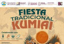 INVITAN A ROSARITENSES A CELEBRAR LA FIESTA TRADICIONAL KUMIAI